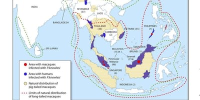 Peta dari malaysia malaria